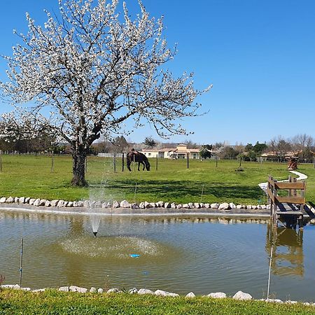 Domaine Christanna Bed & Breakfast Lisle-sur-Tarn Dış mekan fotoğraf