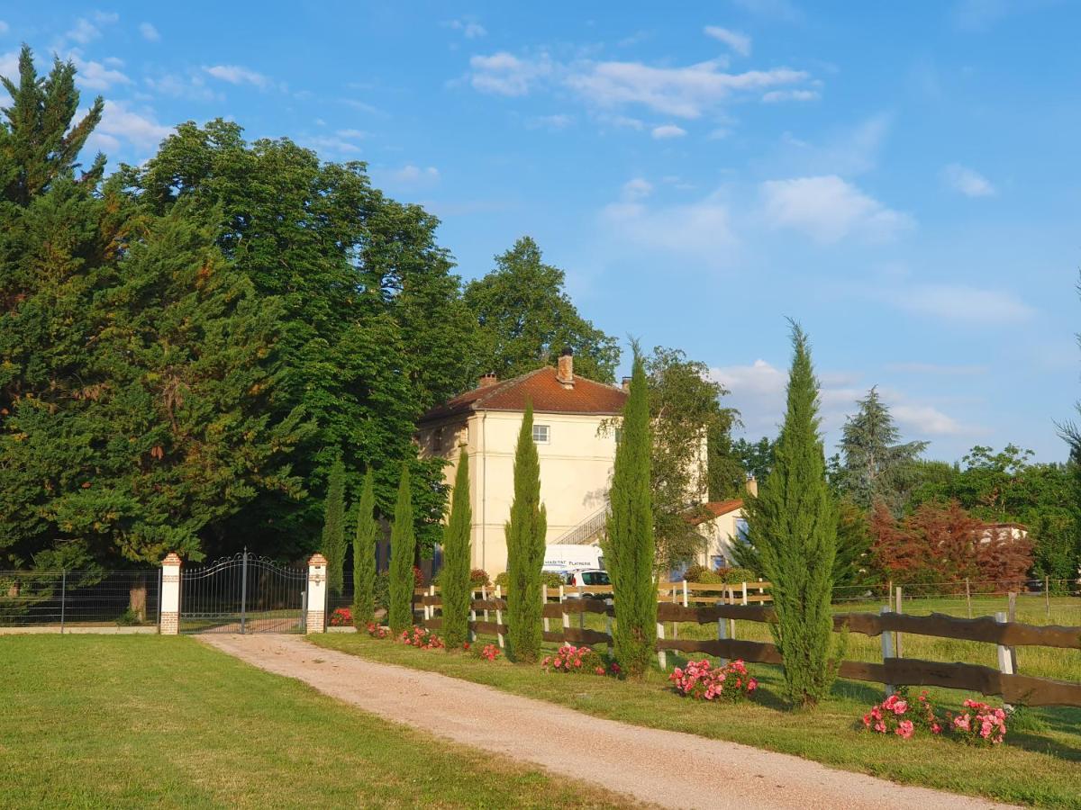 Domaine Christanna Bed & Breakfast Lisle-sur-Tarn Dış mekan fotoğraf