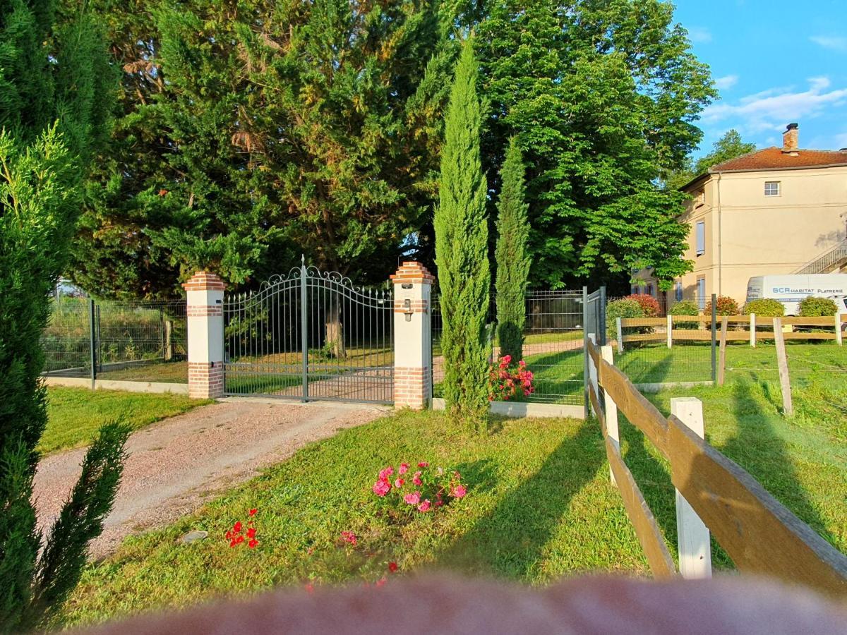 Domaine Christanna Bed & Breakfast Lisle-sur-Tarn Dış mekan fotoğraf