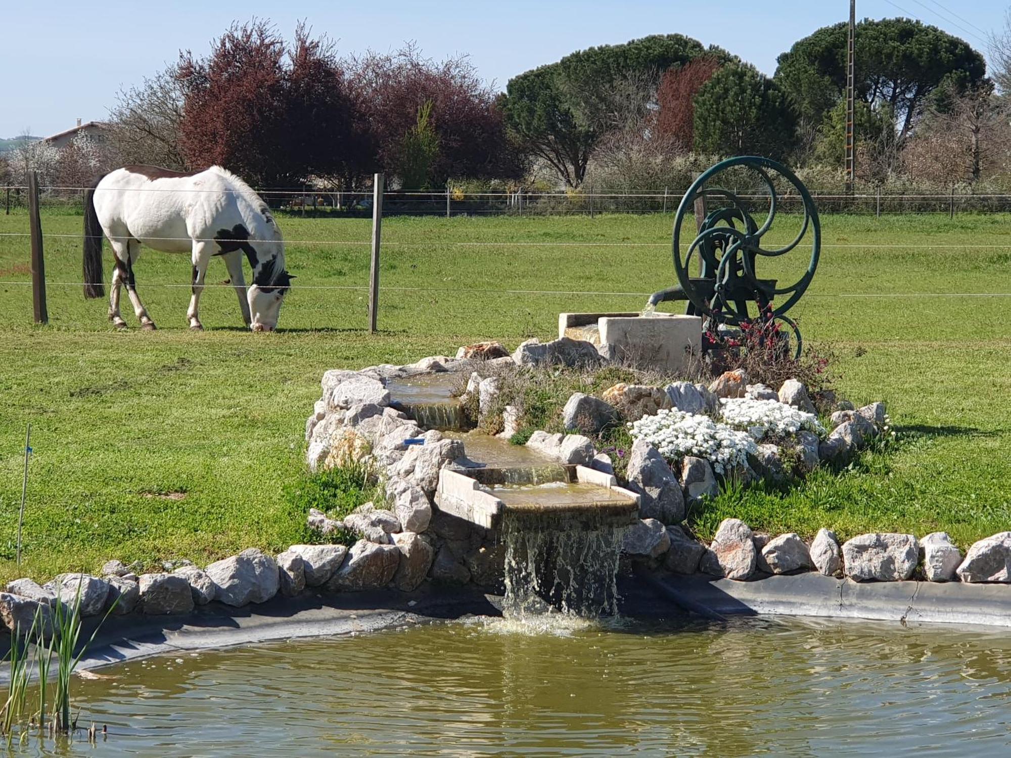 Domaine Christanna Bed & Breakfast Lisle-sur-Tarn Dış mekan fotoğraf
