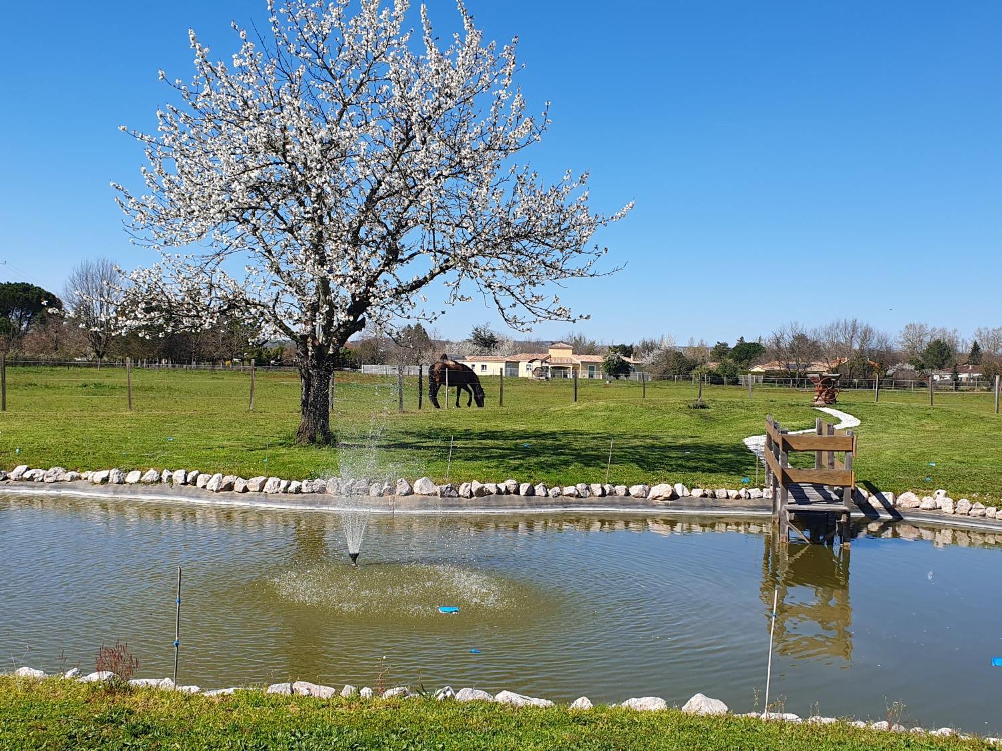 Domaine Christanna Bed & Breakfast Lisle-sur-Tarn Dış mekan fotoğraf